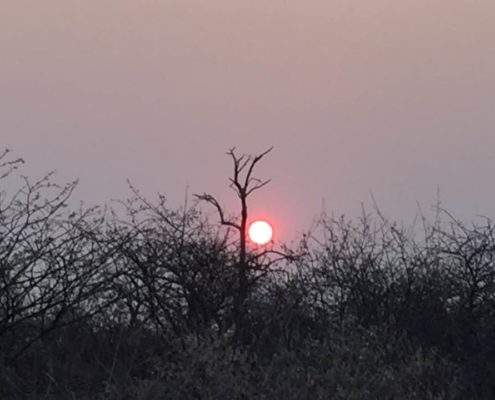 Massimo Marnati - Viaggio Sara Assicurazioni Namibia 2017