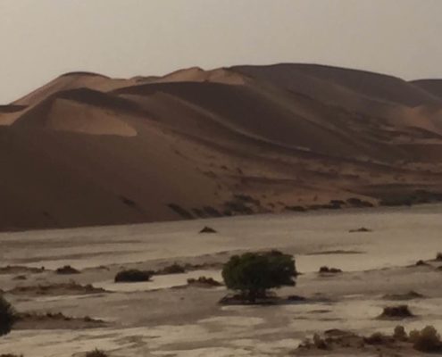 Massimo Marnati - Viaggio Sara Assicurazioni Namibia 2017