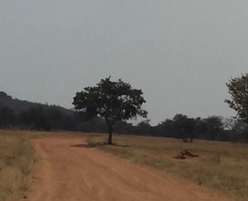 Massimo Marnati - Viaggio Sara Assicurazioni Namibia 2017