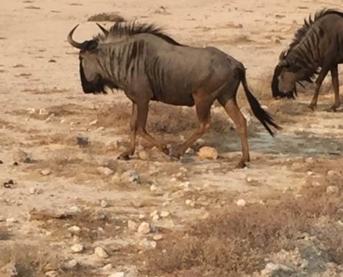 Massimo Marnati - Viaggio Sara Assicurazioni Namibia 2017