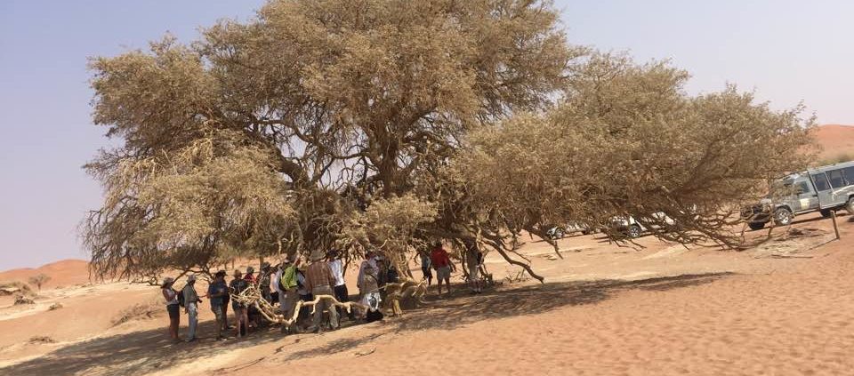 Massimo Marnati - Viaggio Sara Assicurazioni Namibia 2017